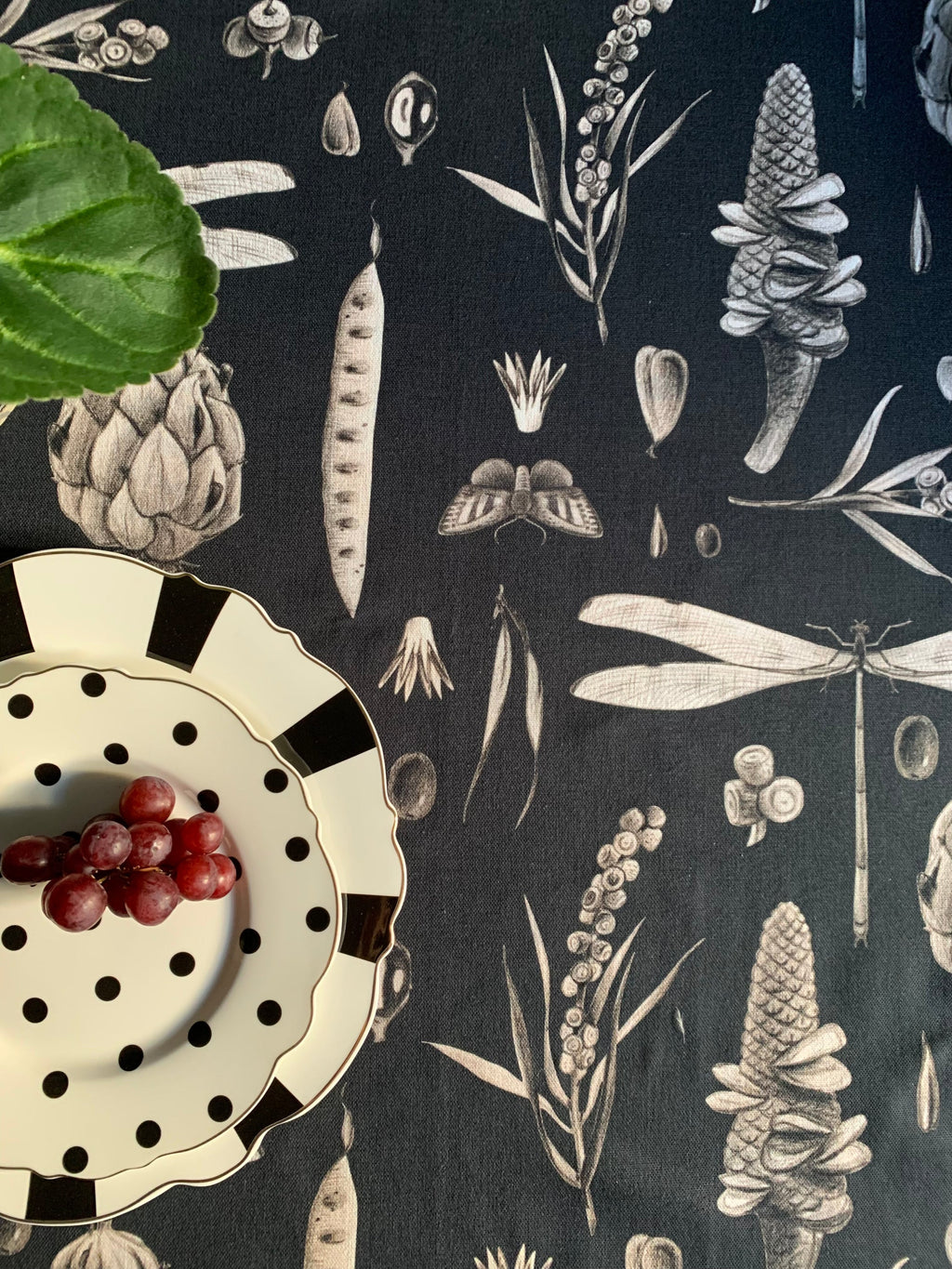 Round Tablecloth, 100% Cotton, Printed | Seeds Carbon